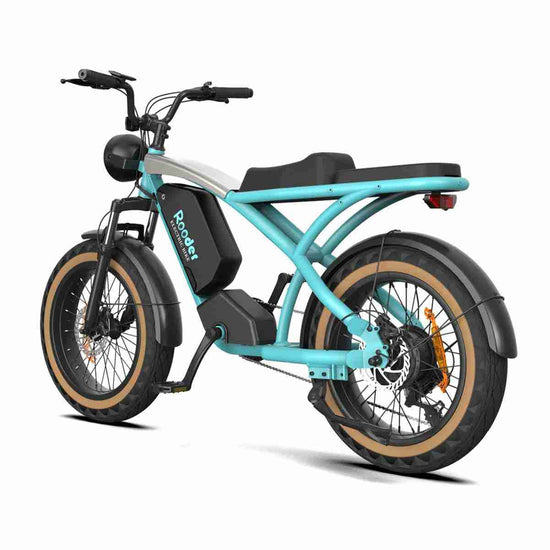 Foldable Electric Bike Adult OEM