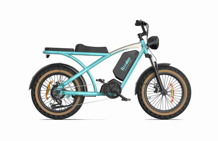 Folding Electric Bicycles OEM