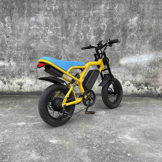 Folding Electric Bike Best OEM