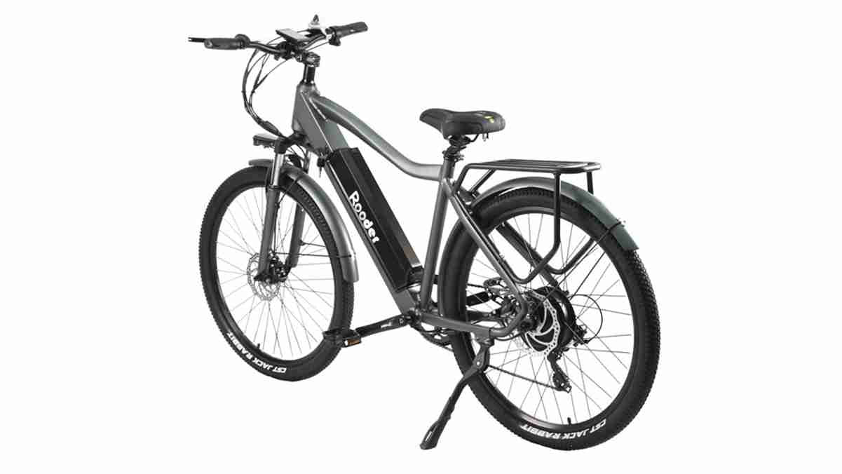 Folding Moped Electric Bike OEM