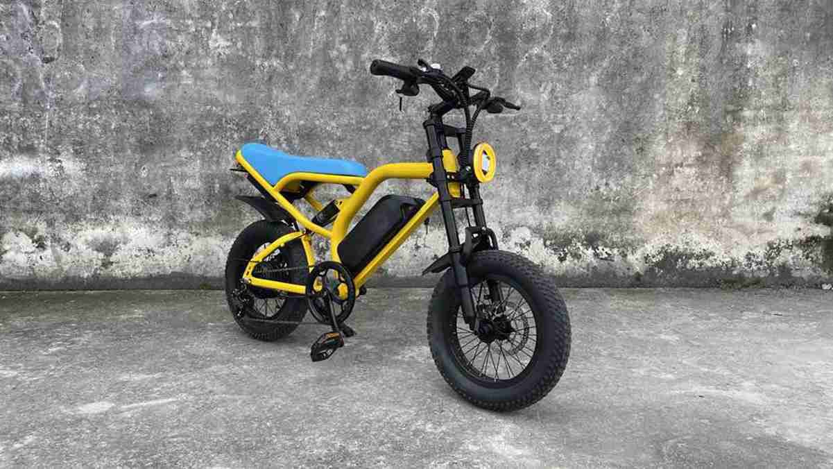 Folding Step Through Electric Bike OEM