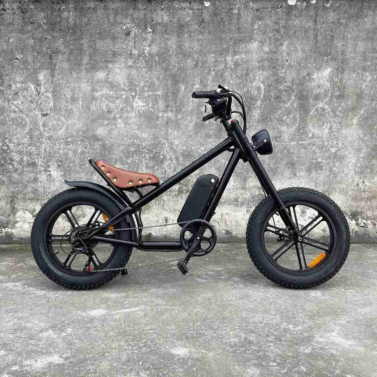 Full Size Folding E Bike OEM