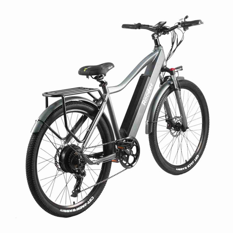 Hot Fat Electric Bike OEM