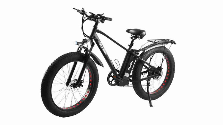 Hybrid Fat Tire Electric Bike OEM