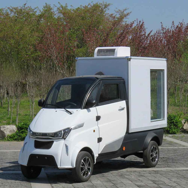 best small ev cars 2024 wholesale factory price