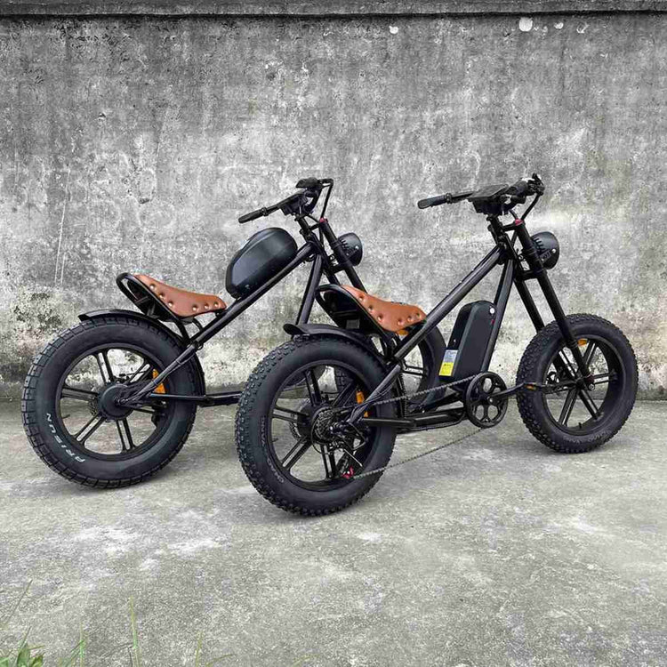 Ladies Folding Electric Bike OEM