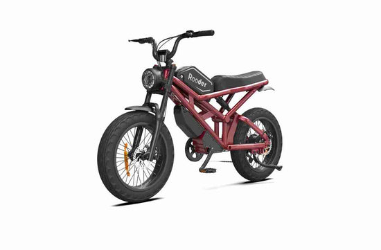 Latest Electric Bike OEM