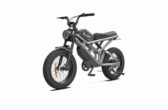 Lightest E Bike OEM