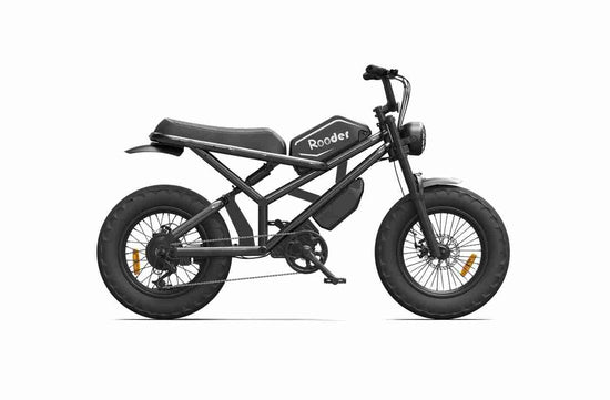 Lightest Foldable Electric Bike OEM