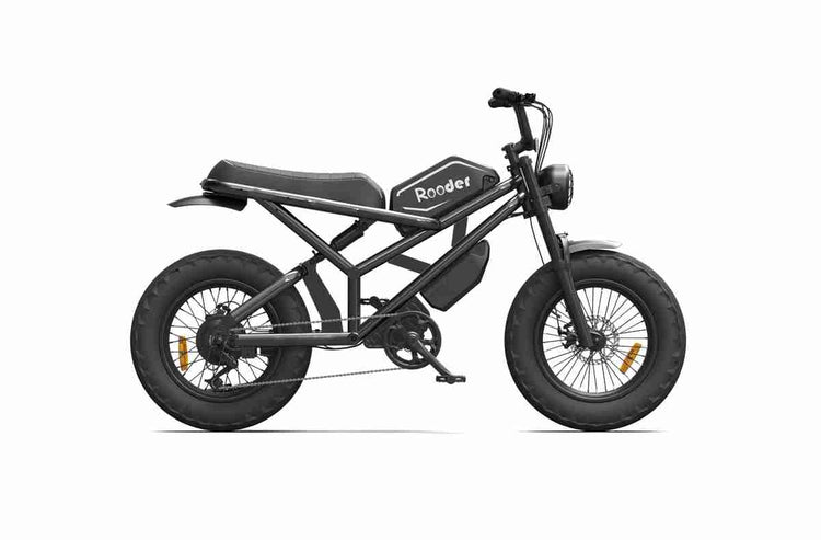 Lightest Foldable Electric Bike OEM