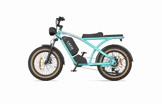 Lightweight Electric Bike Folding OEM