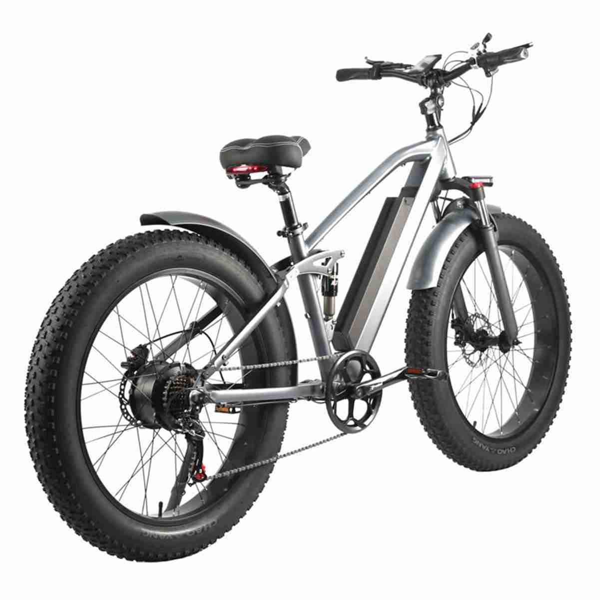 Lightweight Folding Electric Bicycle OEM