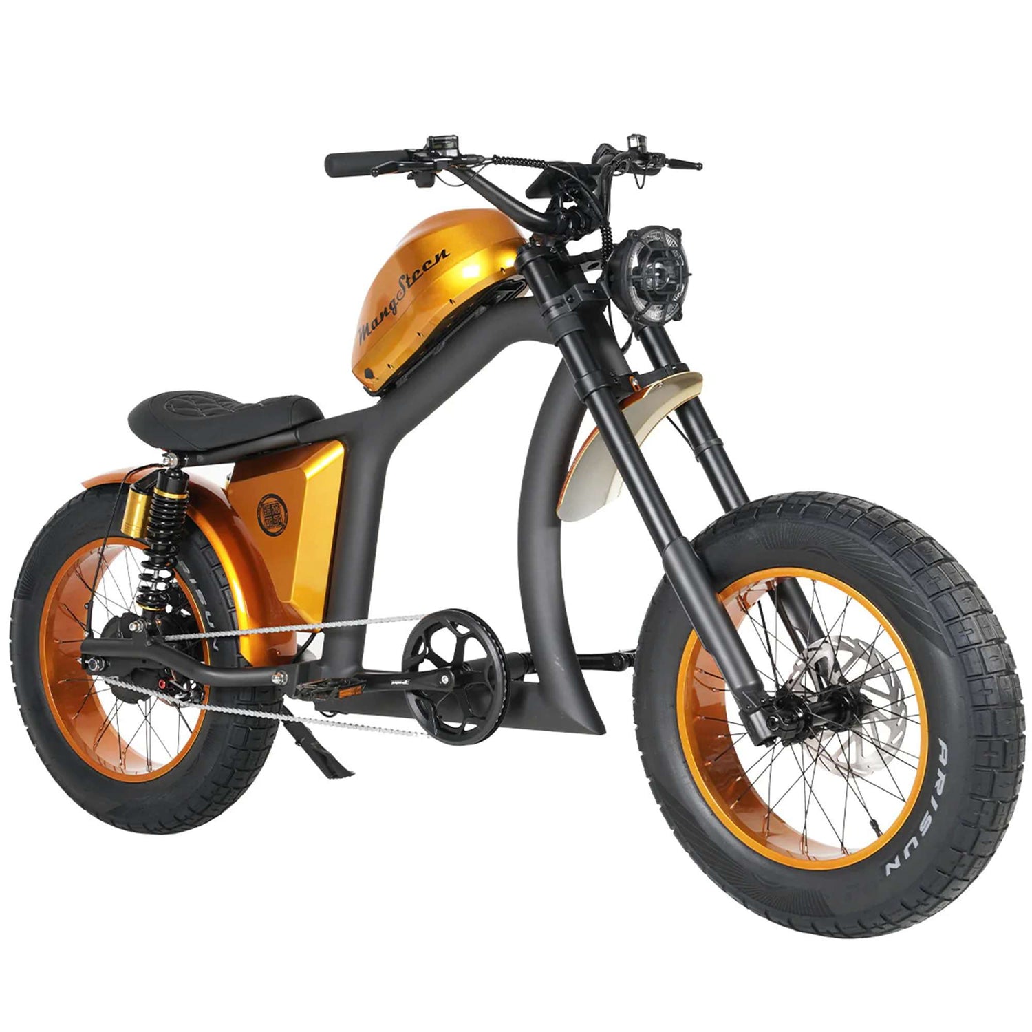 Mangosteen FT02 Electric Bike With Fat Tire 25kmh CE EU for Sale 1