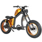 Mangosteen FT02 Electric Bike With Fat Tire 25kmh CE EU for Sale 1