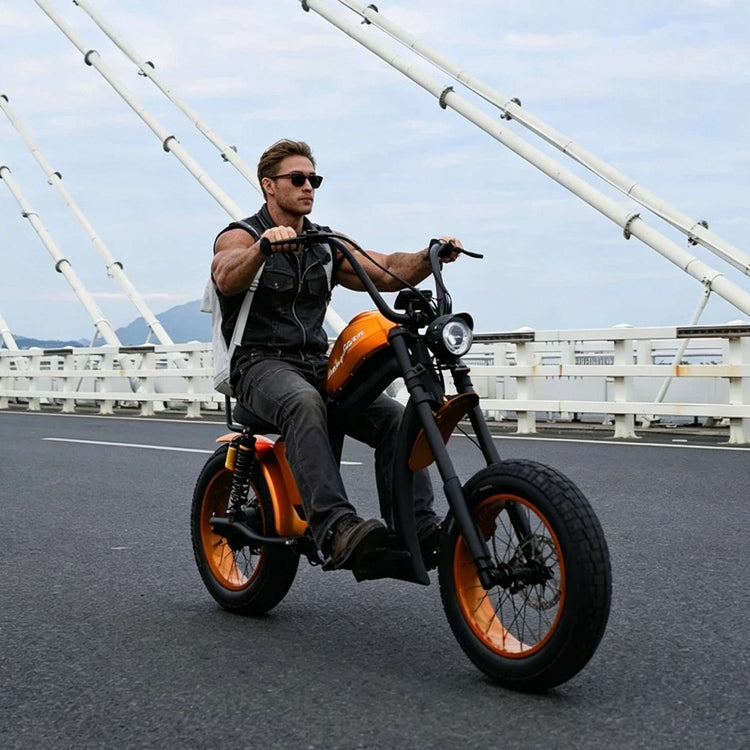 Mangosteen FT02 Electric Bike With Fat Tire 25kmh CE EU for Sale 8