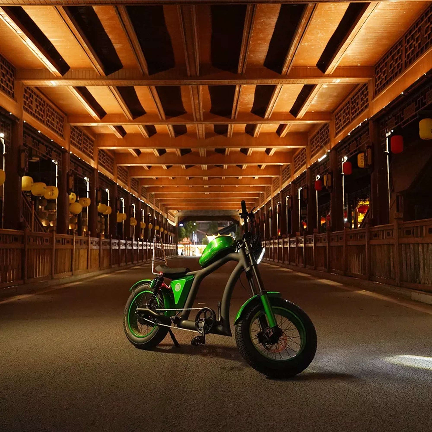 Mangosteen FT02 Electric Bike With Fat Tire 25kmh CE EU for Sale 13