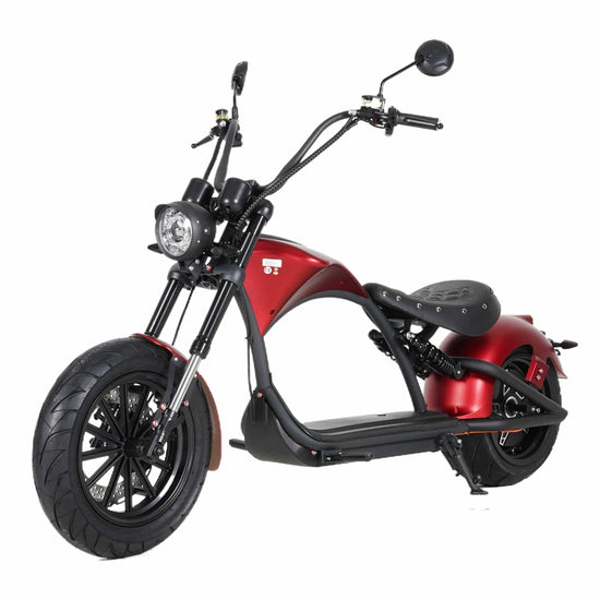 Mangosteen Electric Motorcycle Rooder eRoller m1p Citycoco Custom 1