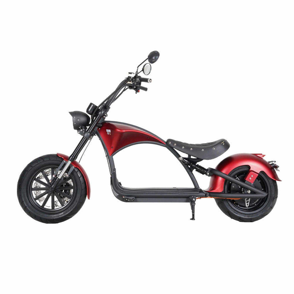 Mangosteen Electric Motorcycle Rooder eRoller m1p Citycoco Custom 4