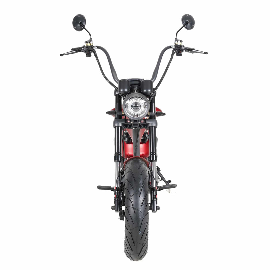 Mangosteen Electric Motorcycle Rooder eRoller m1p Citycoco Custom 5