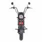 Mangosteen Electric Motorcycle Rooder eRoller m1p Citycoco Custom 5