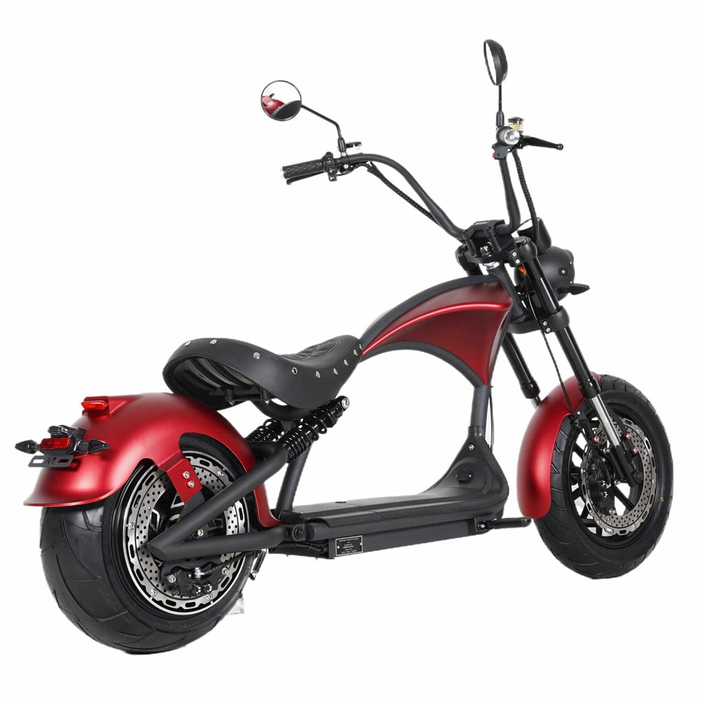 Mangosteen Electric Motorcycle Rooder eRoller m1p Citycoco Custom 7