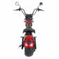 Mangosteen Electric Motorcycle Rooder eRoller m1p Citycoco Custom 6
