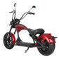 Mangosteen Electric Motorcycle Rooder eRoller m1p Citycoco Custom