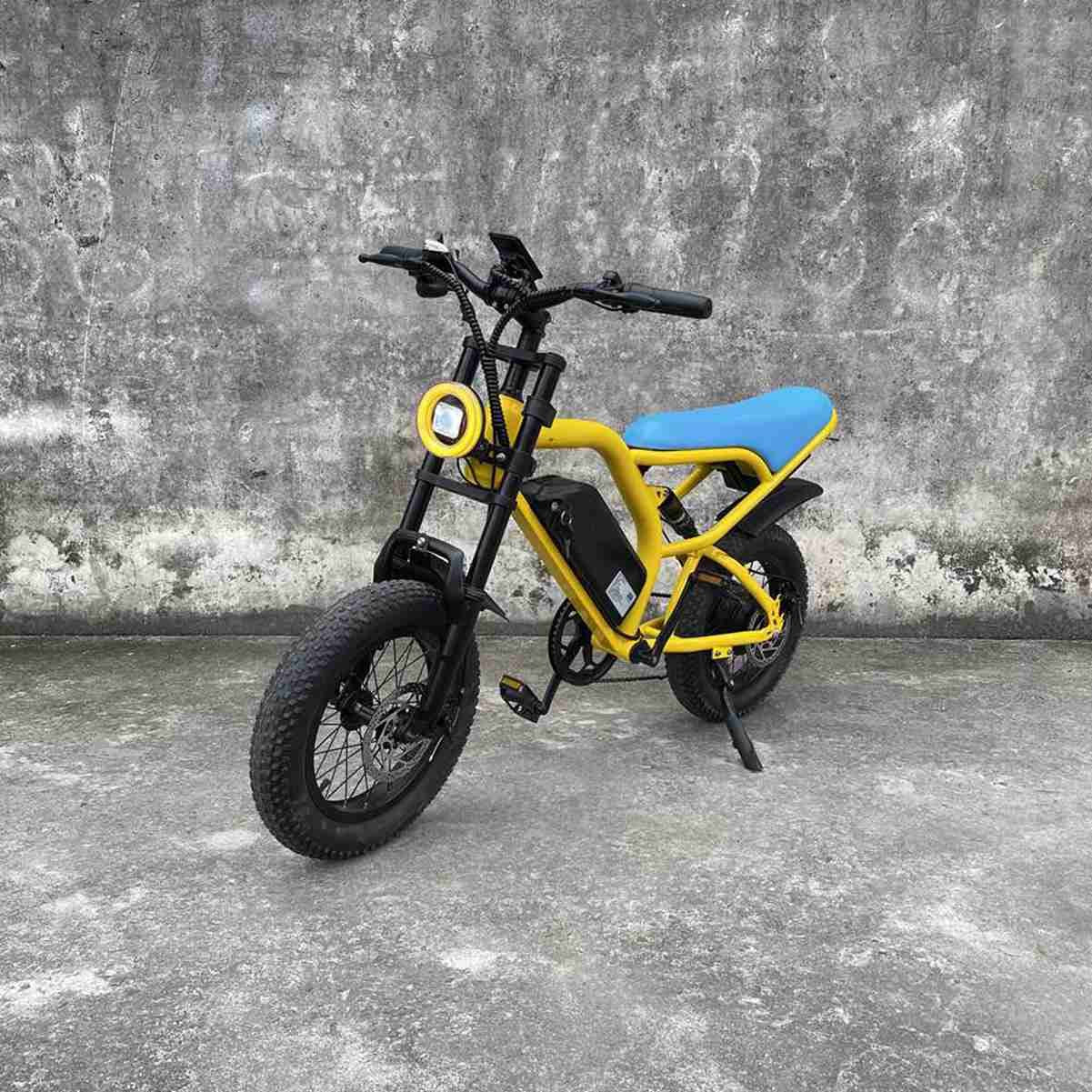 Mens Electric Bike OEM