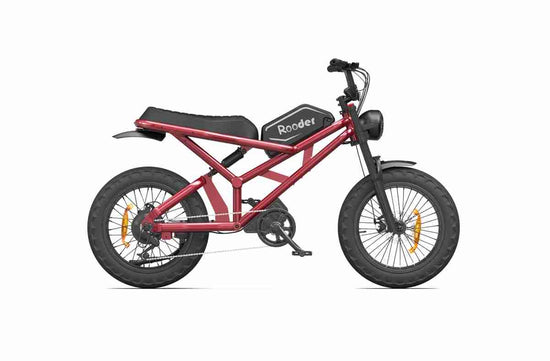 New E Bike OEM