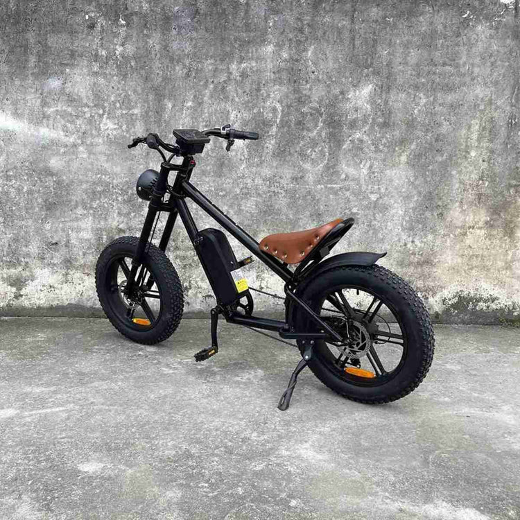 New Electric Bike OEM