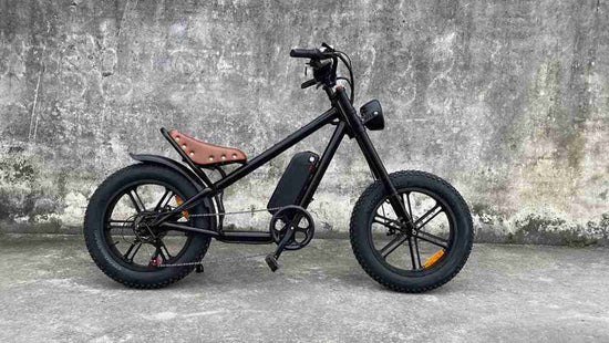 Powerful Folding Electric Bike OEM