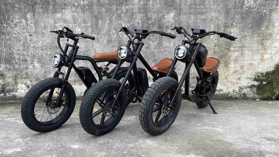 Road Fat Tire Electric Bike OEM