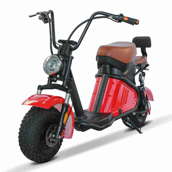 Rooder citycoco Citycoco Electric Scooter OEM