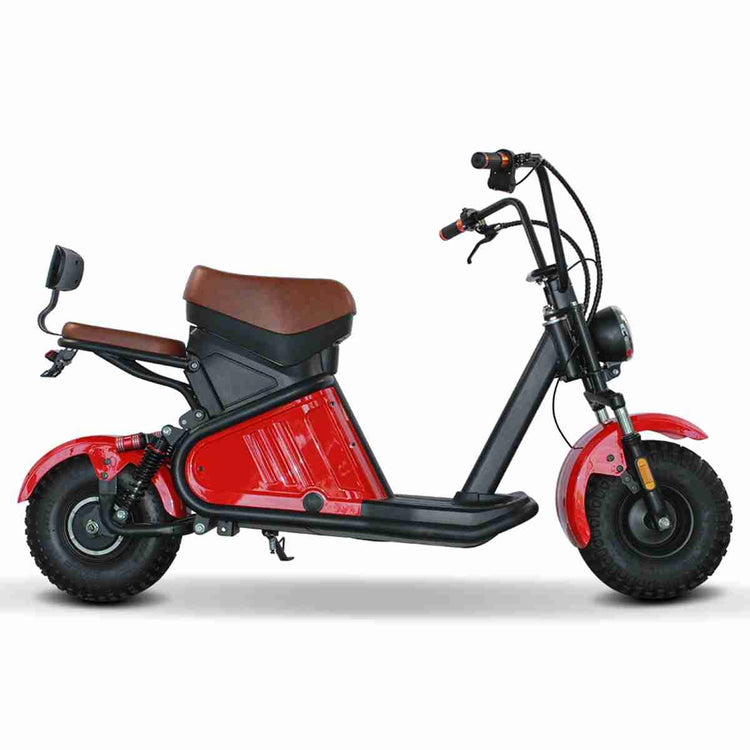 Rooder citycoco Electric Scooter OEM