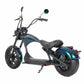 Rooder Mangosteen Super M1 Elektroroller Chopper Scooter for Sale