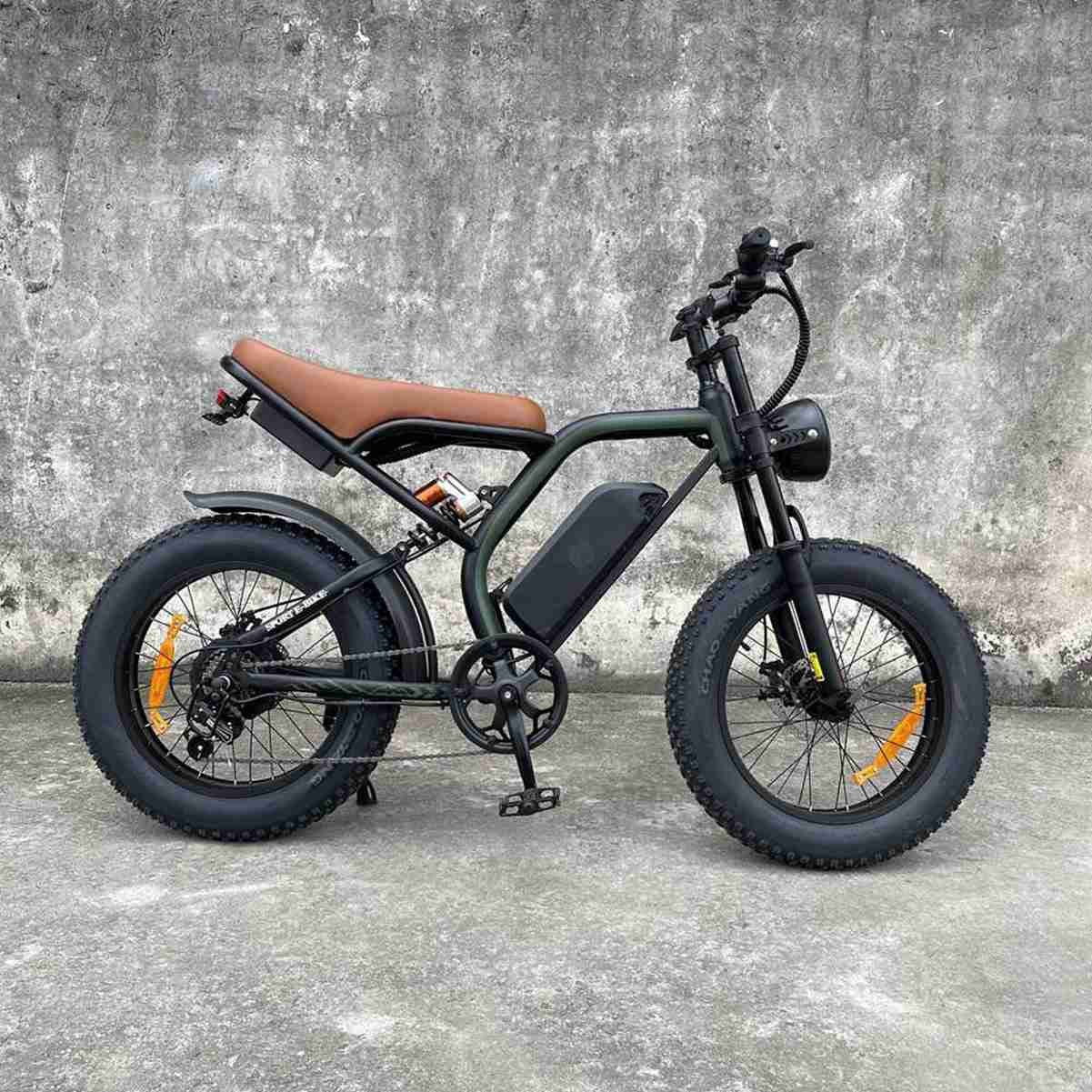 Smallest Folding E Bike OEM