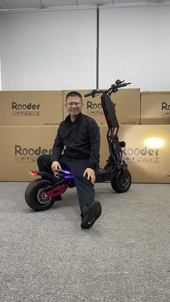 Stand Up 3 Wheel Electric Scooter OEM