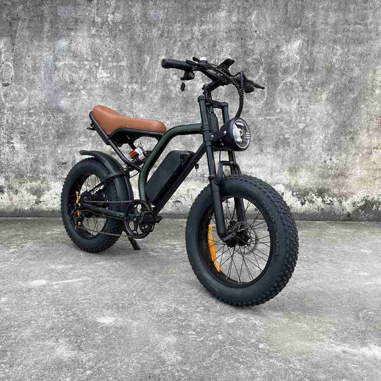 The Best Folding Electric Bike OEM