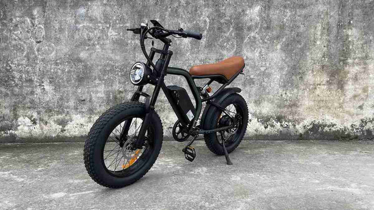 Top Foldable Ebikes OEM