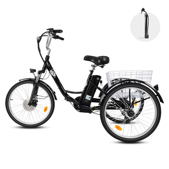 Tricycle Cargo Ebike 3 Wheel Electric City Bike 36V 15A for Sale