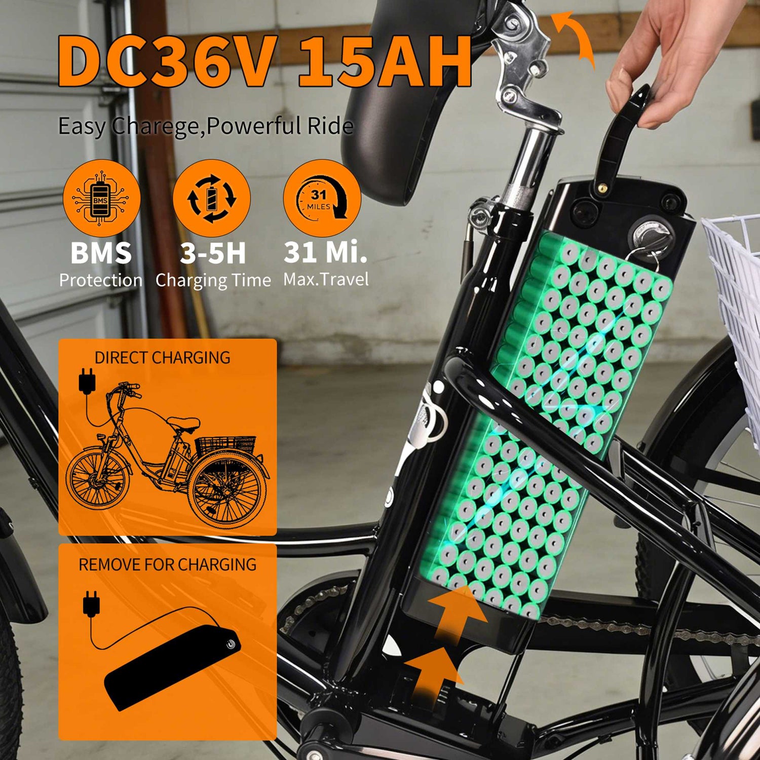 Tricycle Cargo Ebike 3 Wheel Electric City Bike 36V 15A for Sale