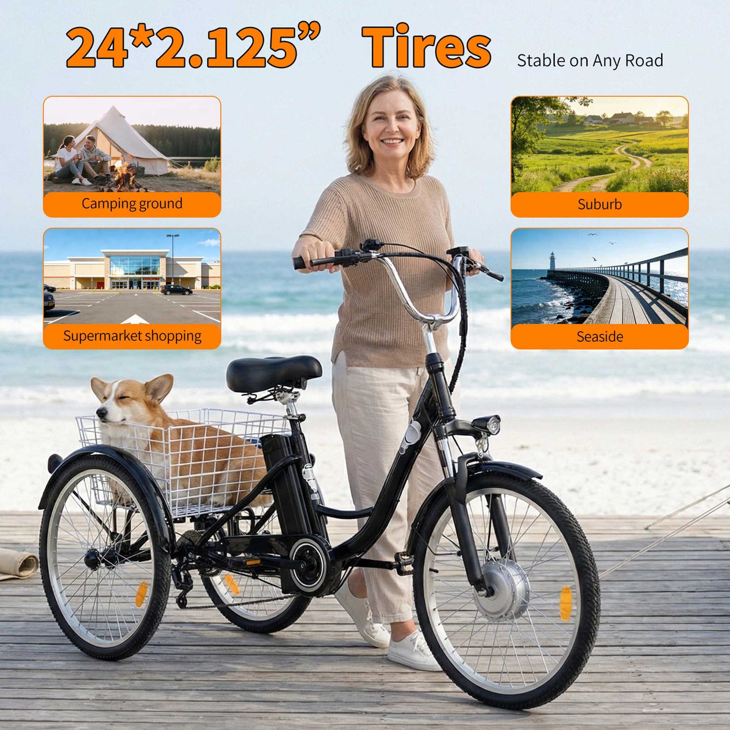 Tricycle Cargo Ebike 3 Wheel Electric City Bike 36V 15A for Sale