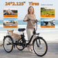Tricycle Cargo Ebike 3 Wheel Electric City Bike 36V 15A for Sale