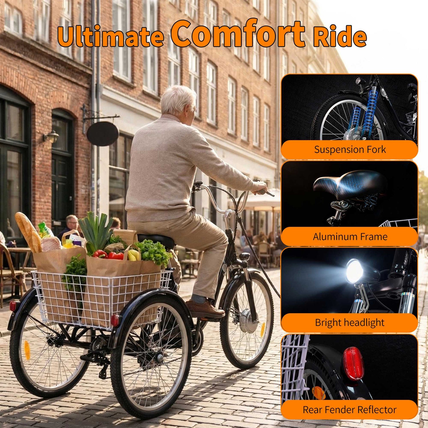 Tricycle Cargo Ebike 3 Wheel Electric City Bike 36V 15A for Sale