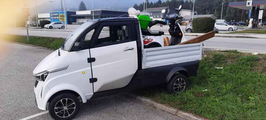 ev wholesale factory price