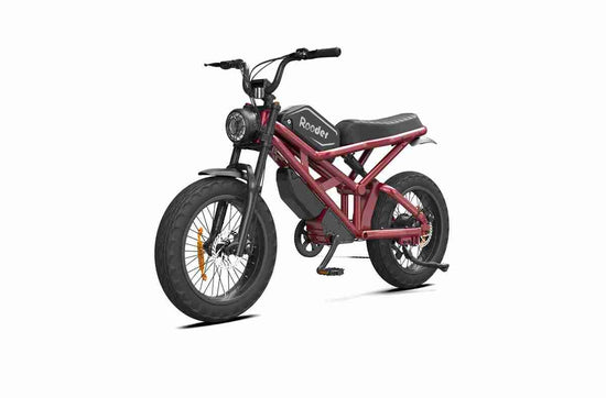 all electric bike OEM