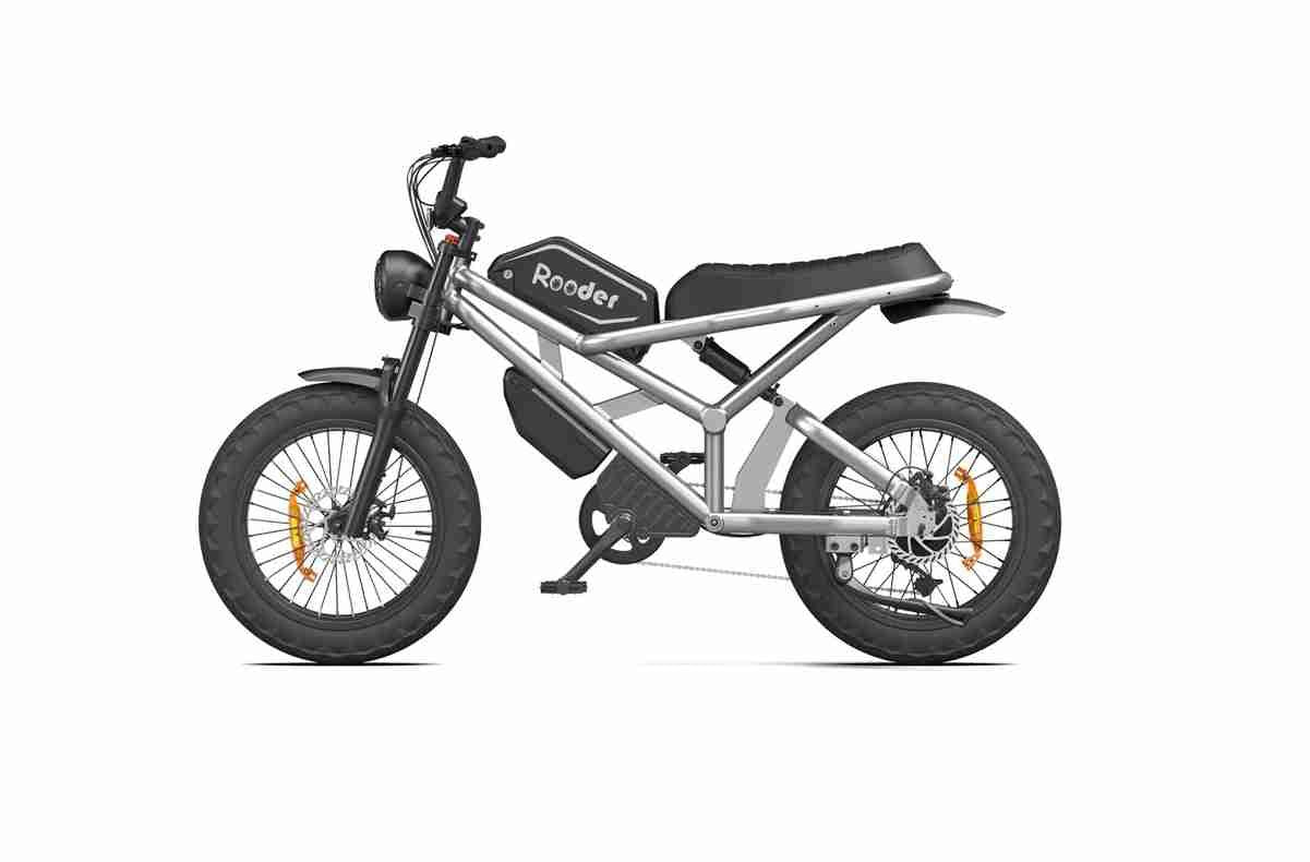 assist bike OEM