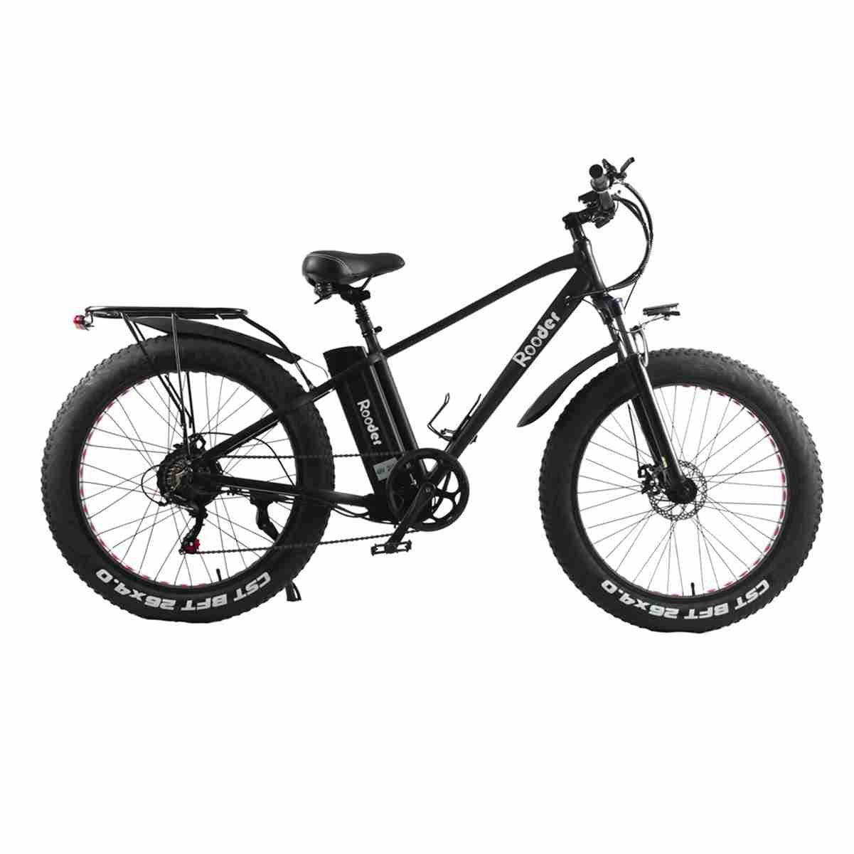 best 750 watt electric bike OEM