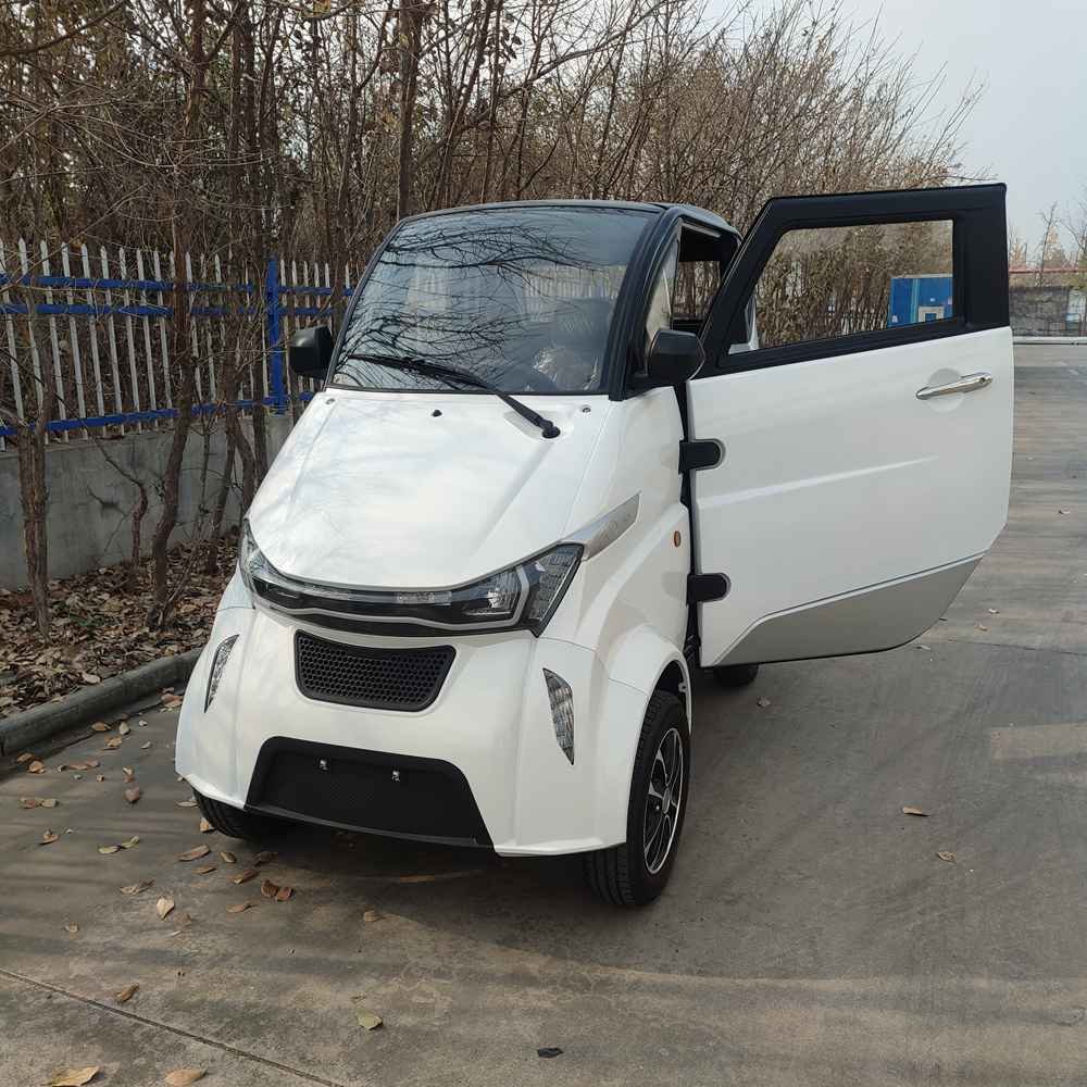 the best small electric car wholesale factory price