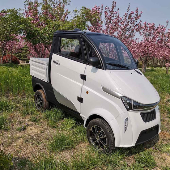 best new ev wholesale factory price